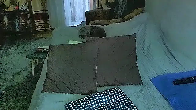 sex2 webcam