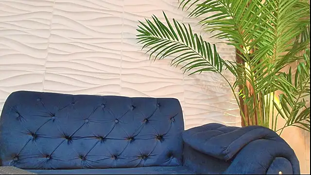 Pavo_tv webcam
