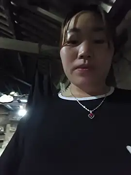 he-se-kin webcam