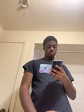 ThickDic28 webcam