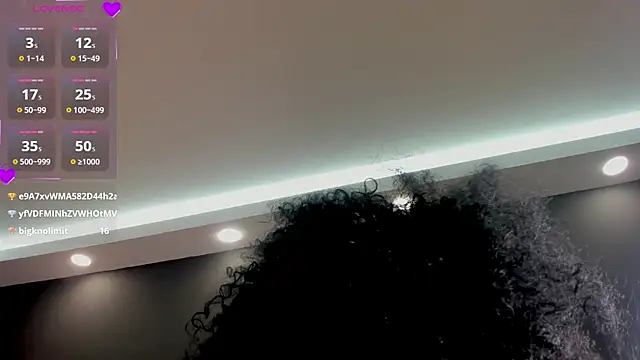 laia_fisher_ webcam