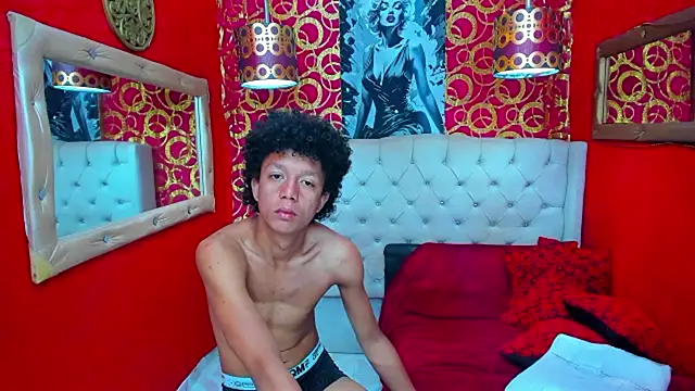 PEINBOYS webcam