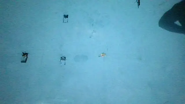 Xaviervtg webcam