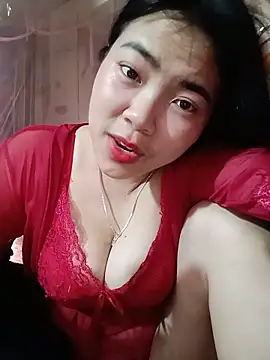 Nul_chal webcam