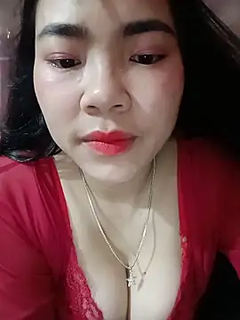 Nul_chal webcam