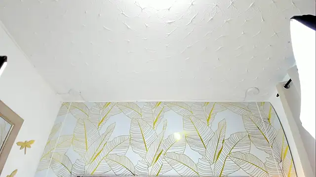 Alison_Chan_ webcam