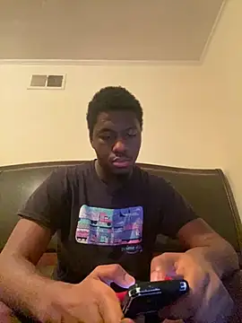ThickDic28 webcam