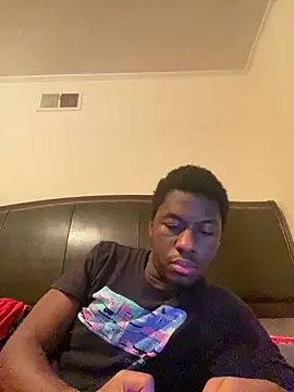 ThickDic28 webcam