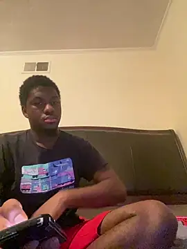 ThickDic28 webcam