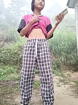 Hoa-tuylip webcam