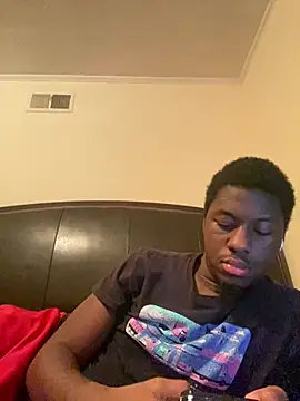 ThickDic28 webcam