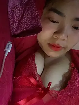 Nul_chal webcam