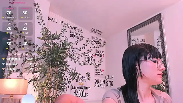 mira0_0 webcam