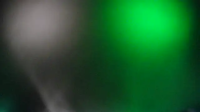 CaptThickEdgerton webcam