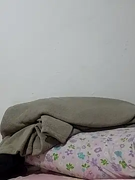 pppk15 webcam