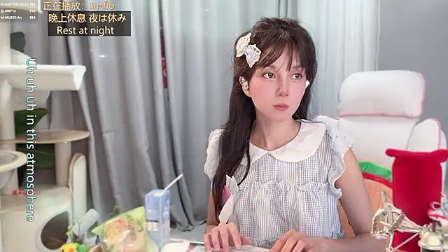 hi-AnAn webcam