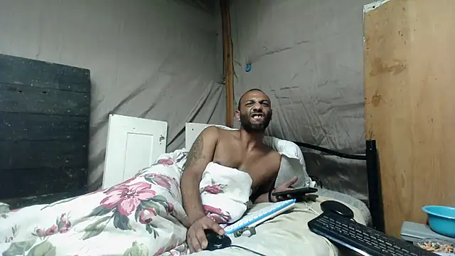 Camodick webcam