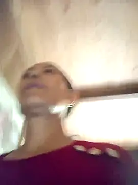 toyo_668 webcam
