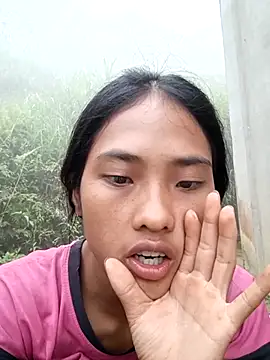 Hoa-tuylip webcam