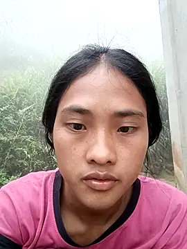 Hoa-tuylip webcam