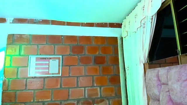 AkiraHeat webcam