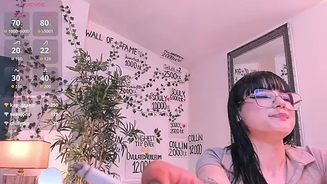 mira0_0 webcam