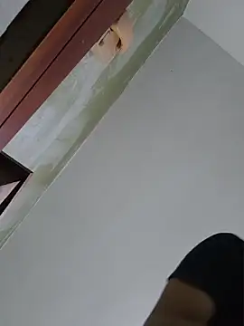 Top_and_bottom webcam