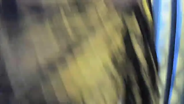 tarivishu11 webcam