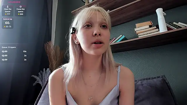 DelorisDetrich webcam