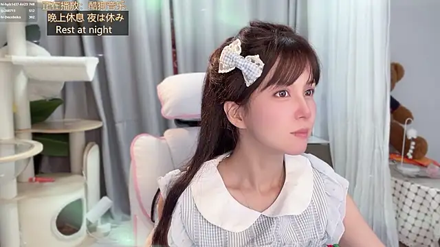 hi-AnAn webcam