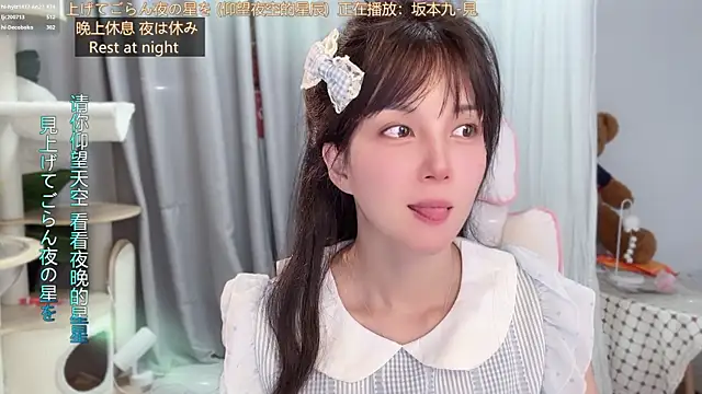 hi-AnAn webcam