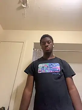ThickDic28 webcam