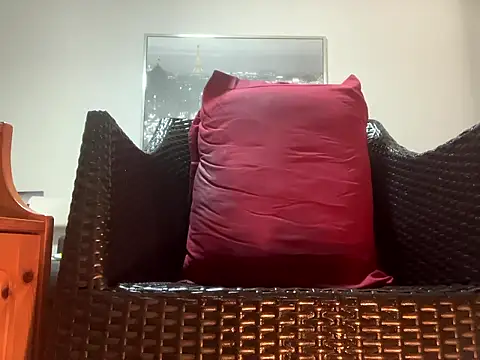 Tyyson03 webcam