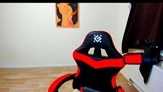 your_tora webcam