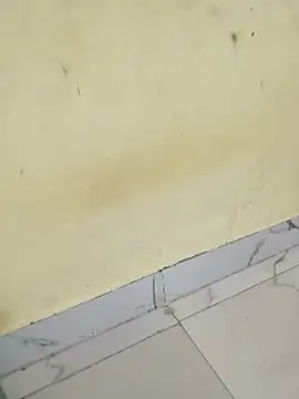 sexy_shital