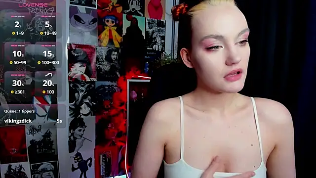 Ida_FaneStain webcam