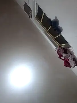 Ariaest webcam
