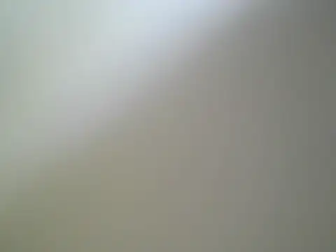 Mushroom83 webcam