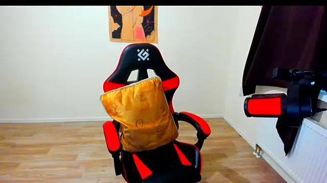 your_tora webcam