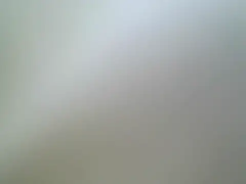 Mushroom83 webcam