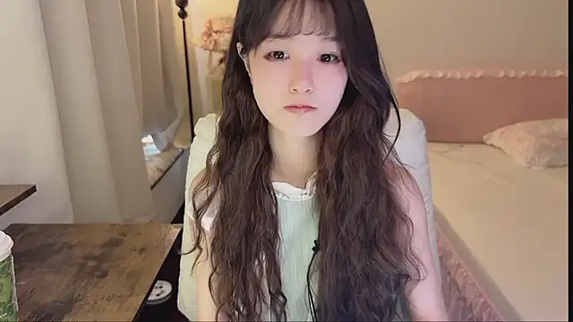 FuFu-puff webcam