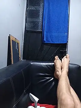 deltaforz webcam