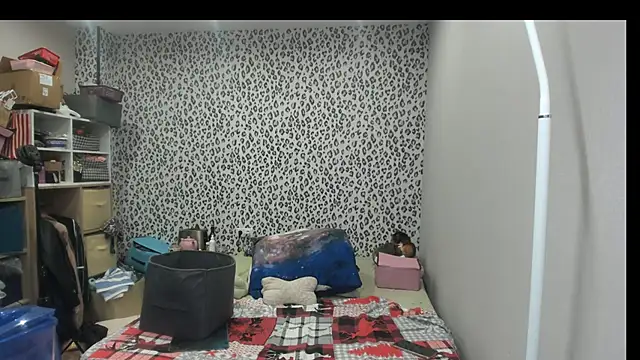 switchlorenx webcam
