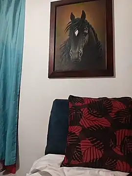 IsisBlake webcam