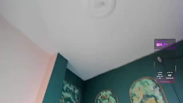 SofiaRousel webcam