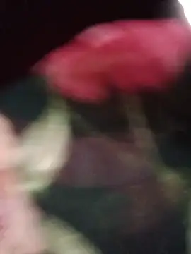 Deepjakolirr