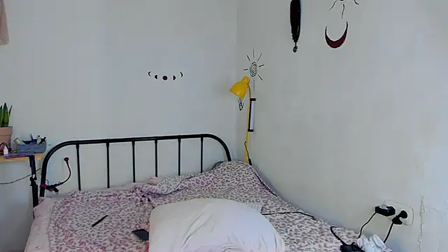 LiyaFly webcam