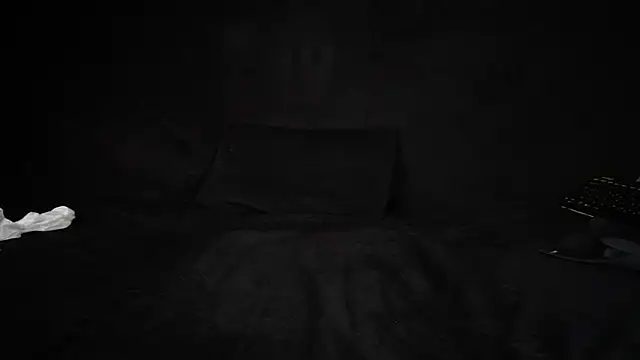 STOP-PANIC webcam