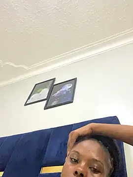 Sis27