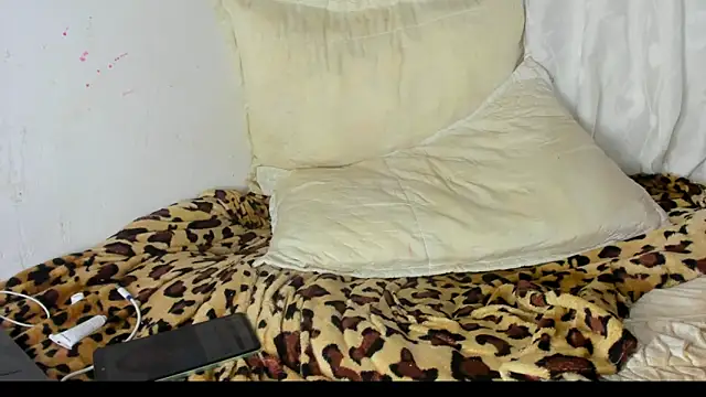 roxanamariahills_ webcam